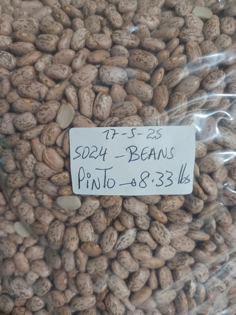 BEANS, Pinto, Dry, lb
