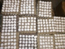 EGGS, 30/pk