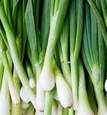 ONION, Green, Iced, Fresh, lb 