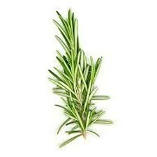 ROSEMARY, Fresh, lb