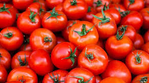 TOMATO, Normal, Fresh, lb