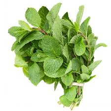 MINT, Leaves, Fresh, lb 