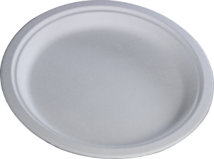 PLATES, #9, Foam, Plate/Bowl, Plastifar, 100 ct /-cs