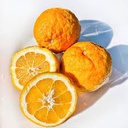 ORANGE, Bitter, Fresh, lb
