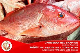FISH, Snapper, Whole, Red, Frozen, Allmare, lb 