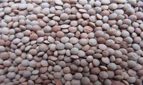 BEANS, Lentils, Dry, lb 