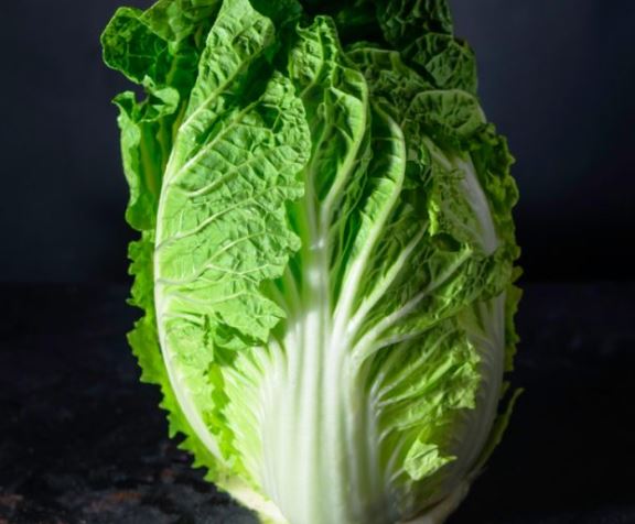CABBAGE, Fresh, Chinese, lb 