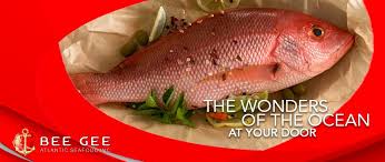 FISH, Snapper, Whole, Red, Frozen, Condomar, lb