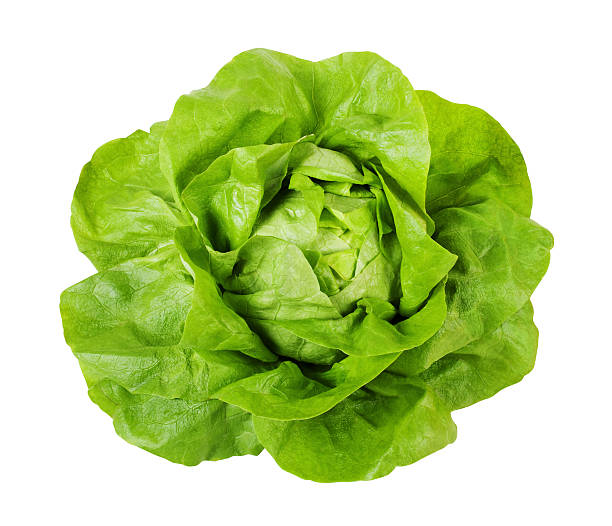 LETTUCE, Butterhead, Fresh, lb