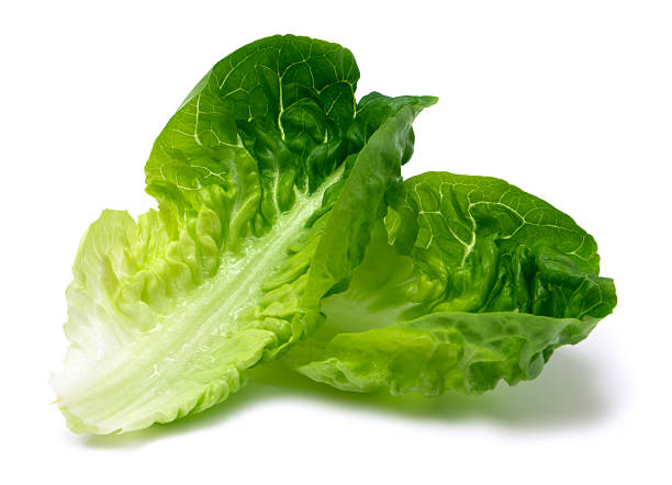 LETTUCE, Romaine, Fresh, lb