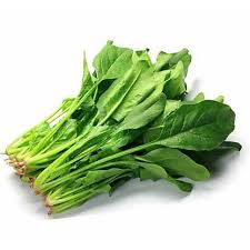 [5317-US/LC] SPINACH, Fresh, lb
