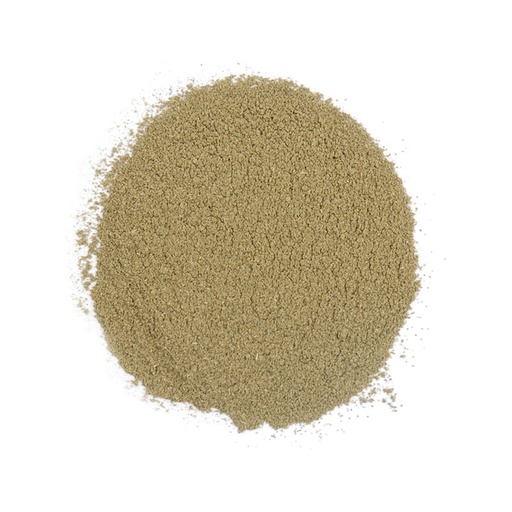 [8004-US] BASIL, Ground, Spice Jungle, lb 